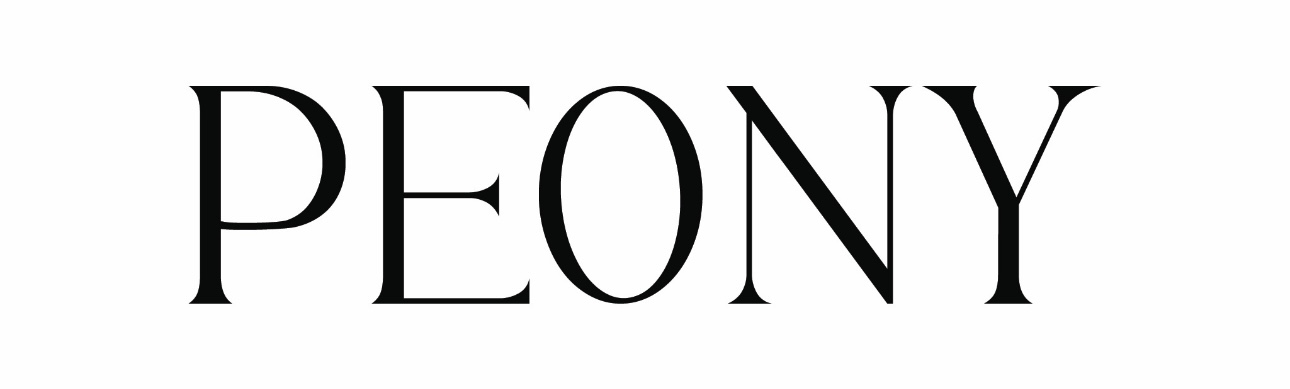 Logo Website